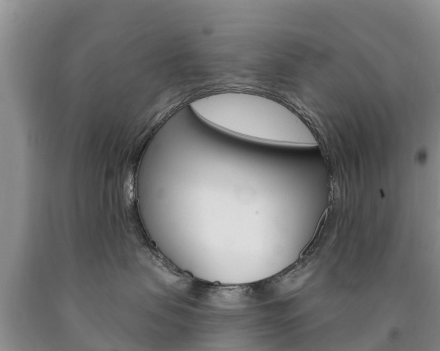 X0000090870479200707270959