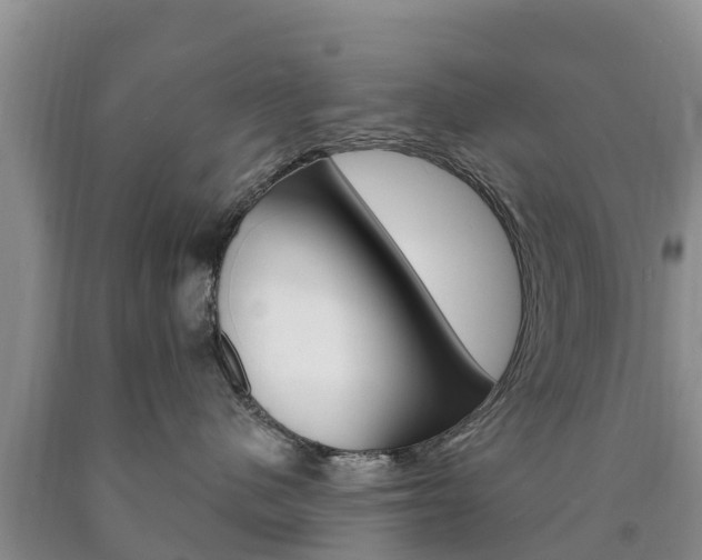 X0000090870480200707270959