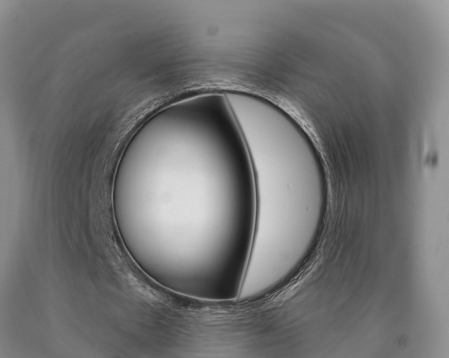 X0000090870481200707270958