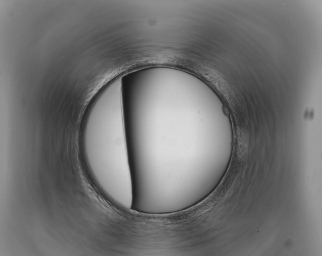 X0000090870482200707270958