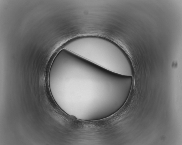 X0000090870483200707270958