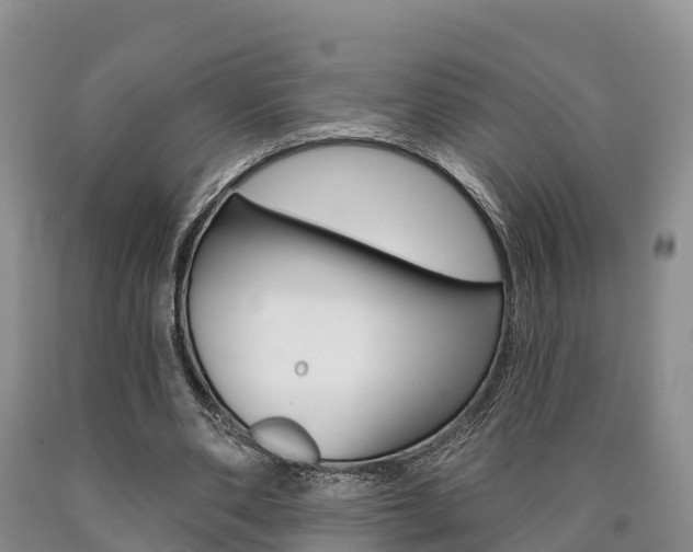 X0000090870486200707270958