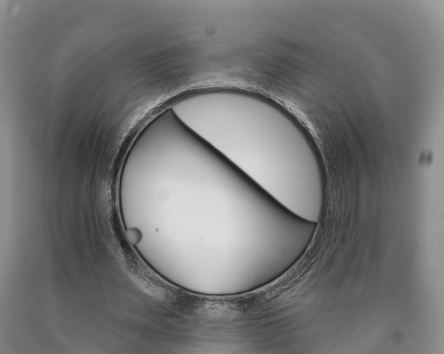 X0000090870487200707270958