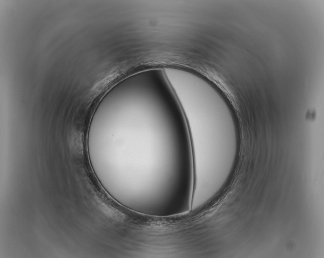 X0000090870489200707270958