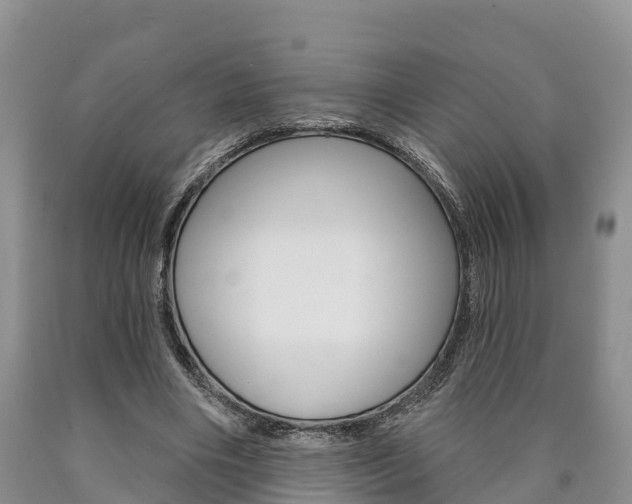 X0000090870490200707270958