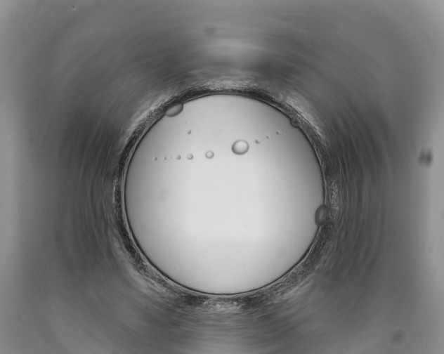 X0000090870491200707270958