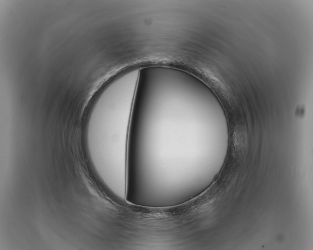 X0000090870492200707270958