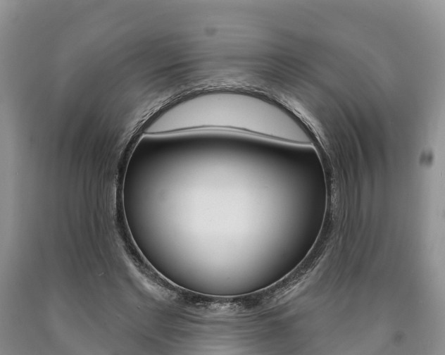 X0000090870493200707270958