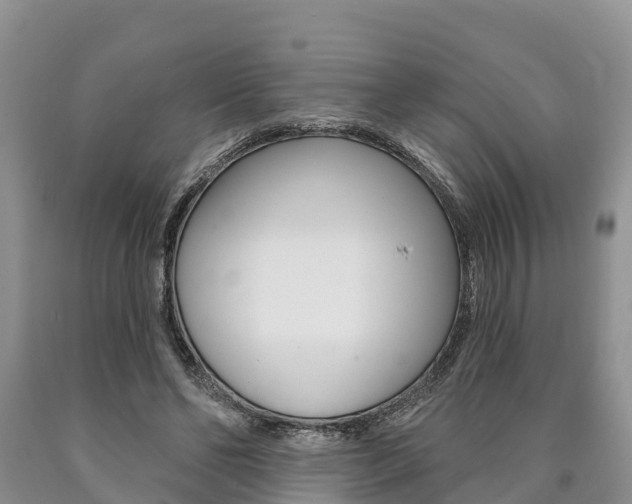 X0000090870494200707270958