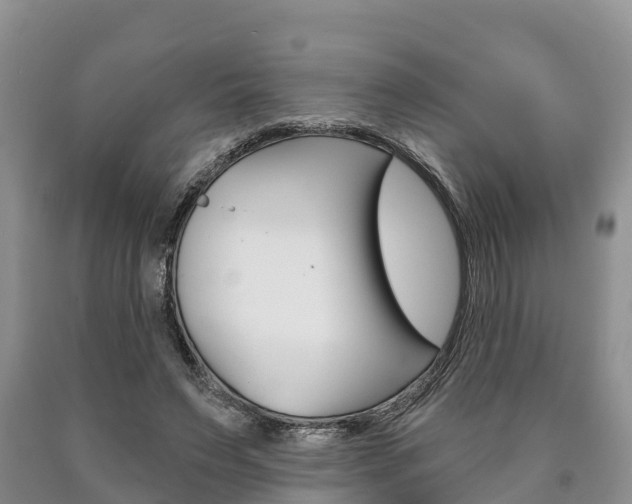 X0000090870495200707270958