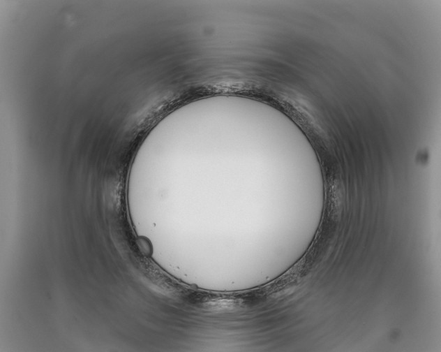 X0000090870499200707270958