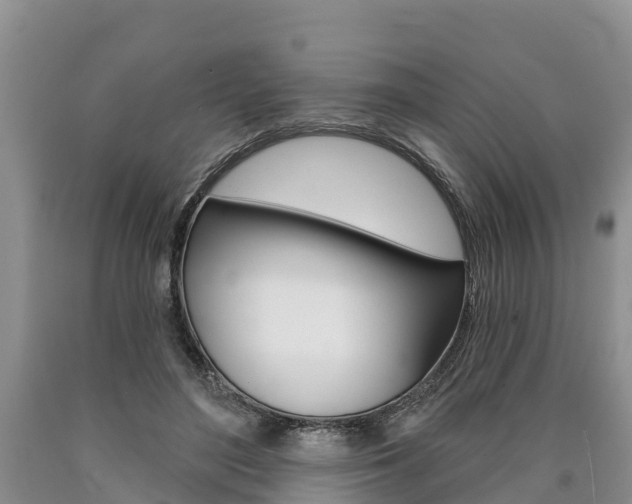 X0000090870500200707270958