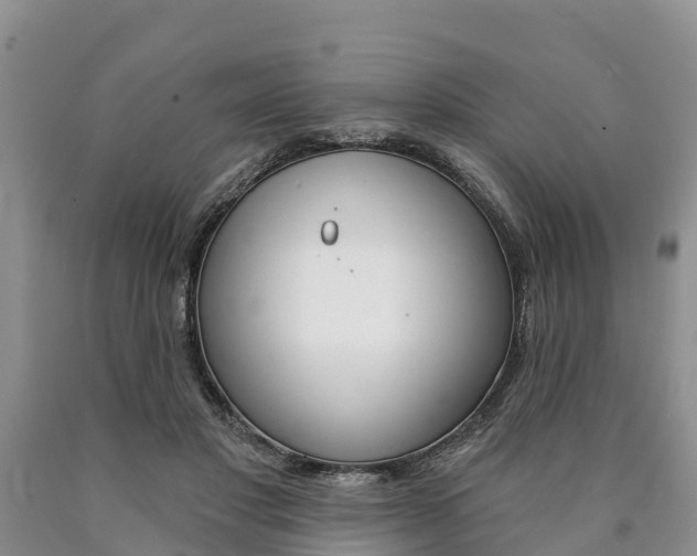 X0000090870501200707270958