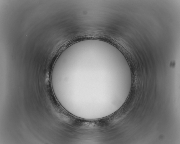 X0000090870502200707270958