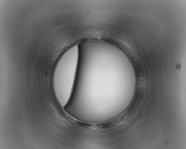X0000090870504200707270958