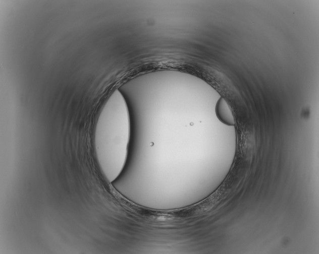 X0000090870506200707270958