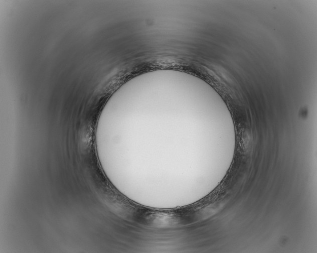 X0000090870507200707270958