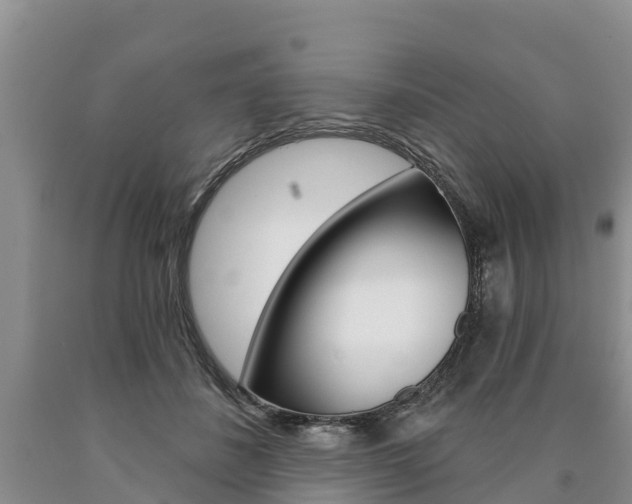 X0000090870508200707270958