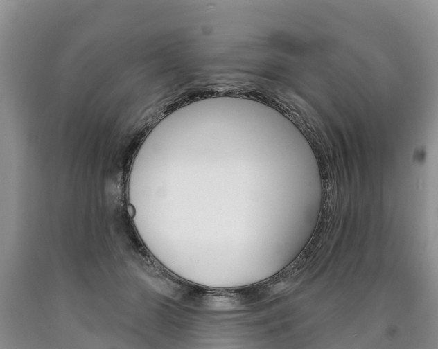 X0000090870510200707270958