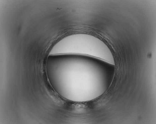 X0000090870512200707270957