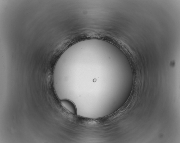 X0000090870513200707270957