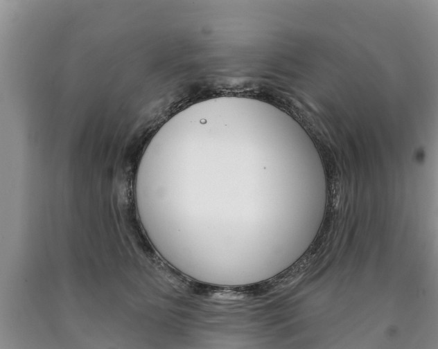 X0000090870515200707270957