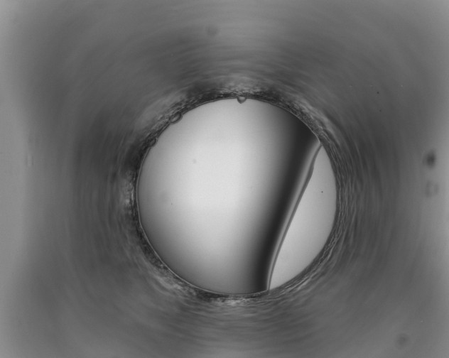 X0000090870517200707270957