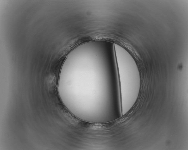 X0000090870521200707270957