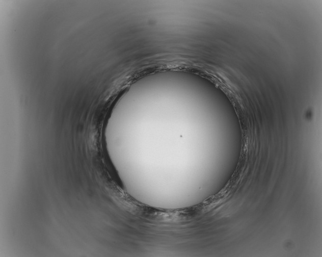 X0000090870524200707270957