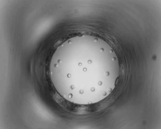 X0000090870527200707270957