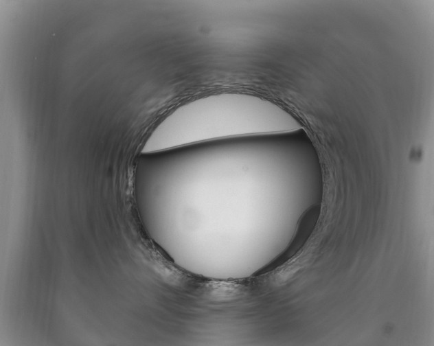 X0000090870528200707270957
