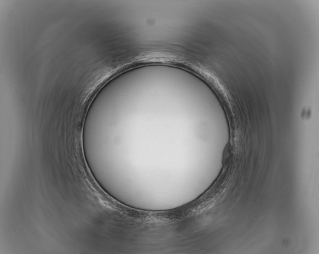 X0000090870529200707270957