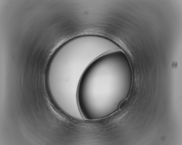 X0000090870530200707270957