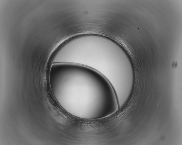 X0000090870532200707270957