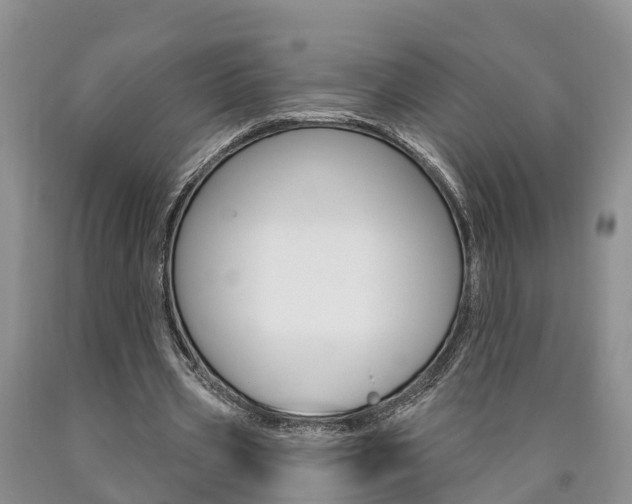 X0000090870533200707270957