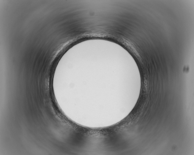X0000090870534200707270957