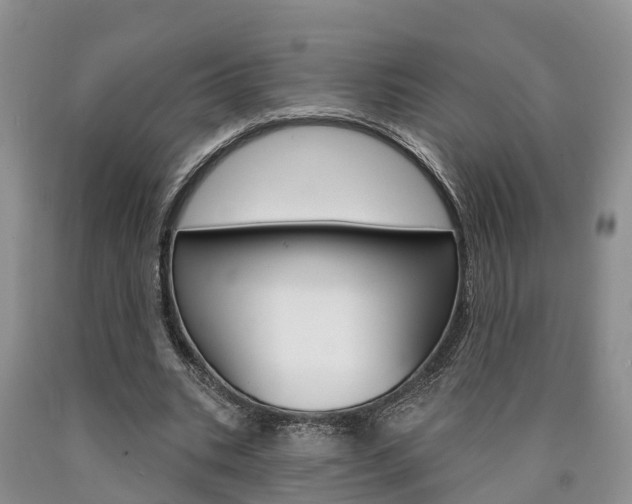 X0000090870535200707270957