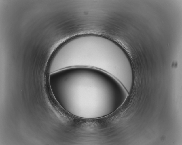 X0000090870536200707270957