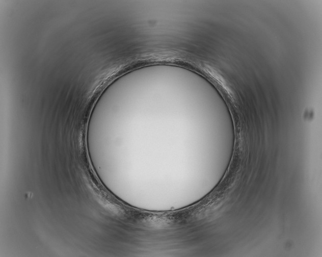 X0000090870537200707270957