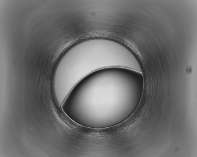 X0000090870538200707270957