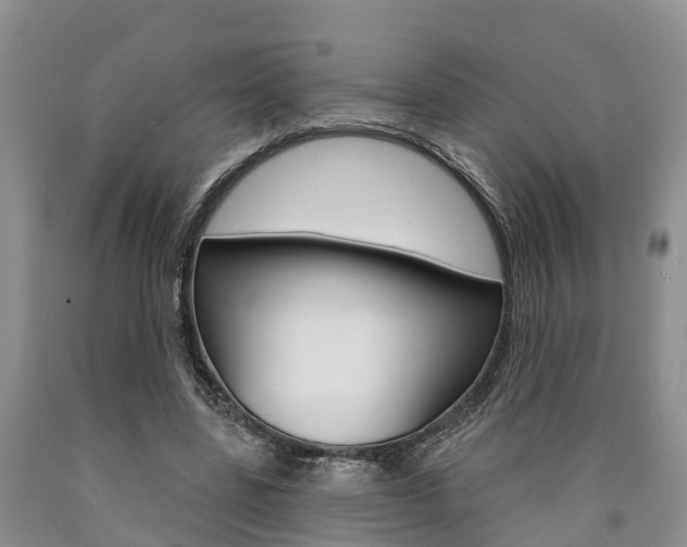 X0000090870539200707270957