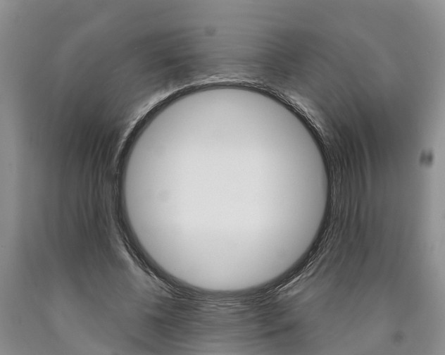 X0000090870540200707270957