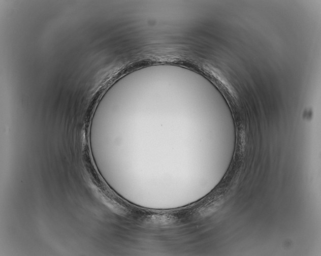 X0000090870541200707270957