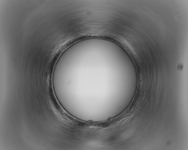 X0000090870542200707270957