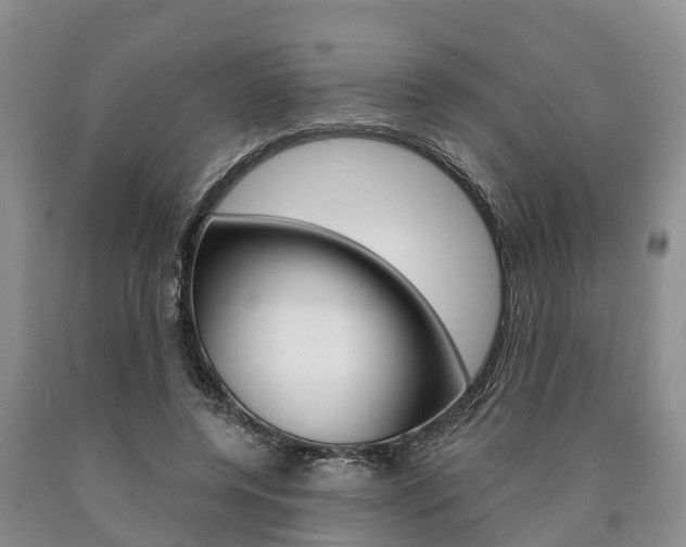 X0000090870544200707270957