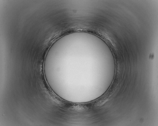 X0000090870545200707270957