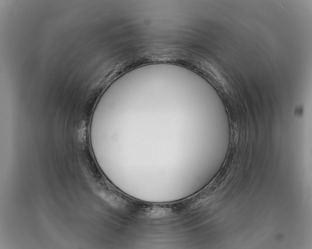 X0000090870549200707270957