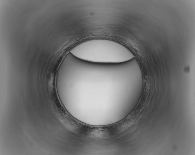 X0000090870550200707270957