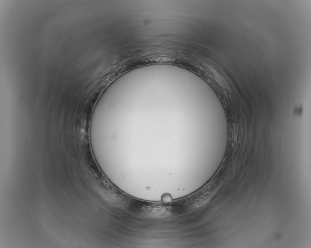 X0000090870553200707270957