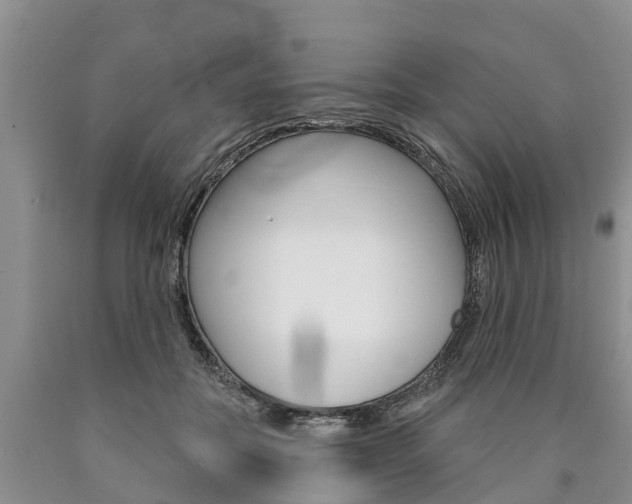 X0000090870554200707270957